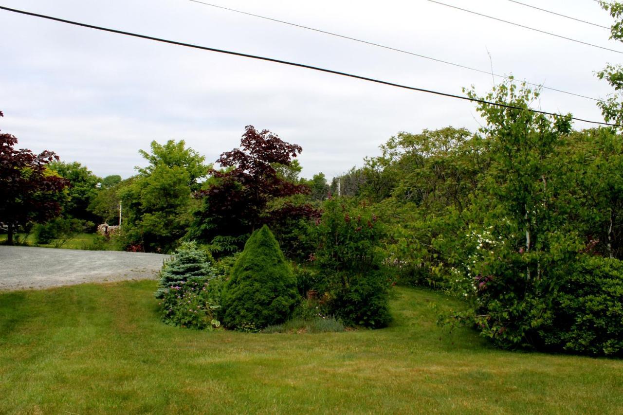 Mackenzie House B&B by Elevate Rooms Port Hawkesbury Buitenkant foto